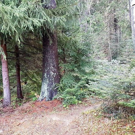Chalet Taffski Borovets Dış mekan fotoğraf