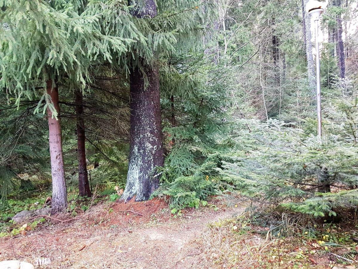 Chalet Taffski Borovets Dış mekan fotoğraf